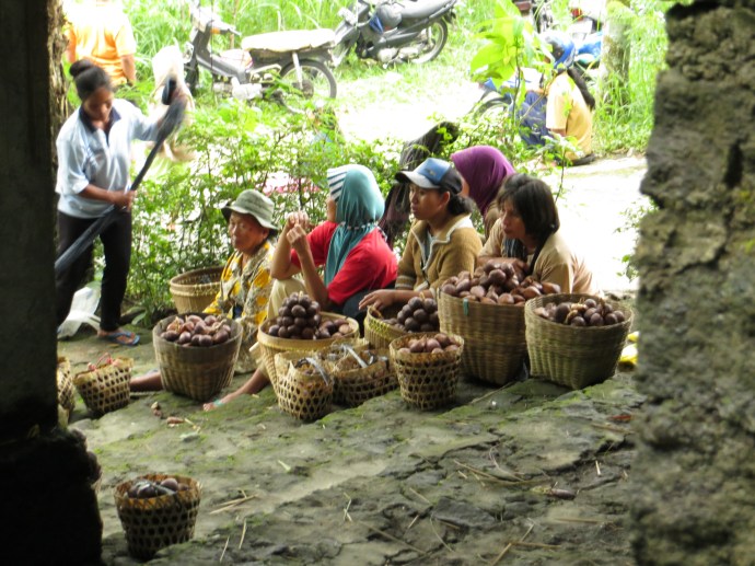 Selling salak fruit