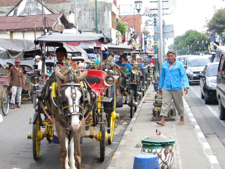 Andong, a traditional form of transportation