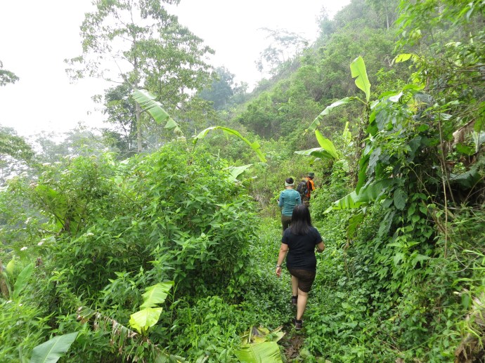 Going up the mountain