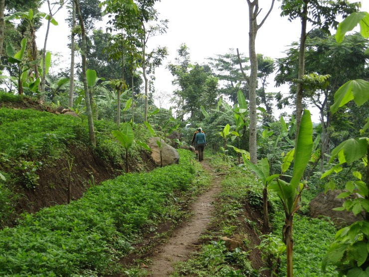 Some part of the trail has been developed