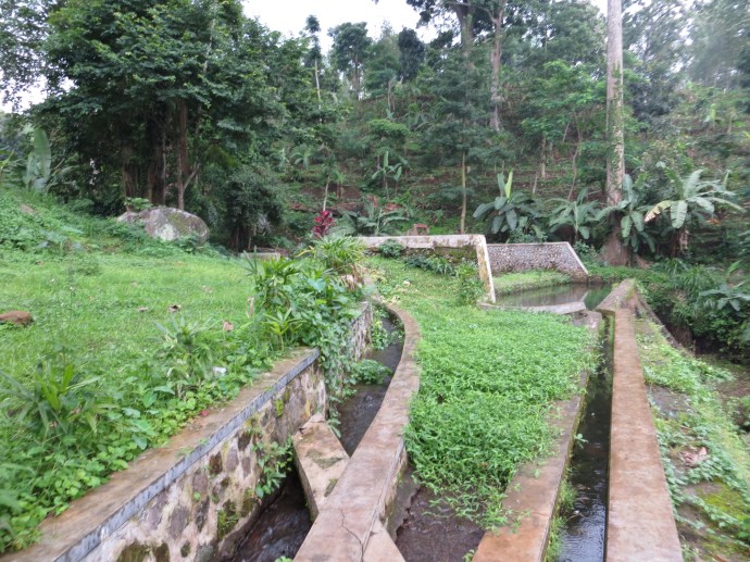 Water from the spring passing through a weir