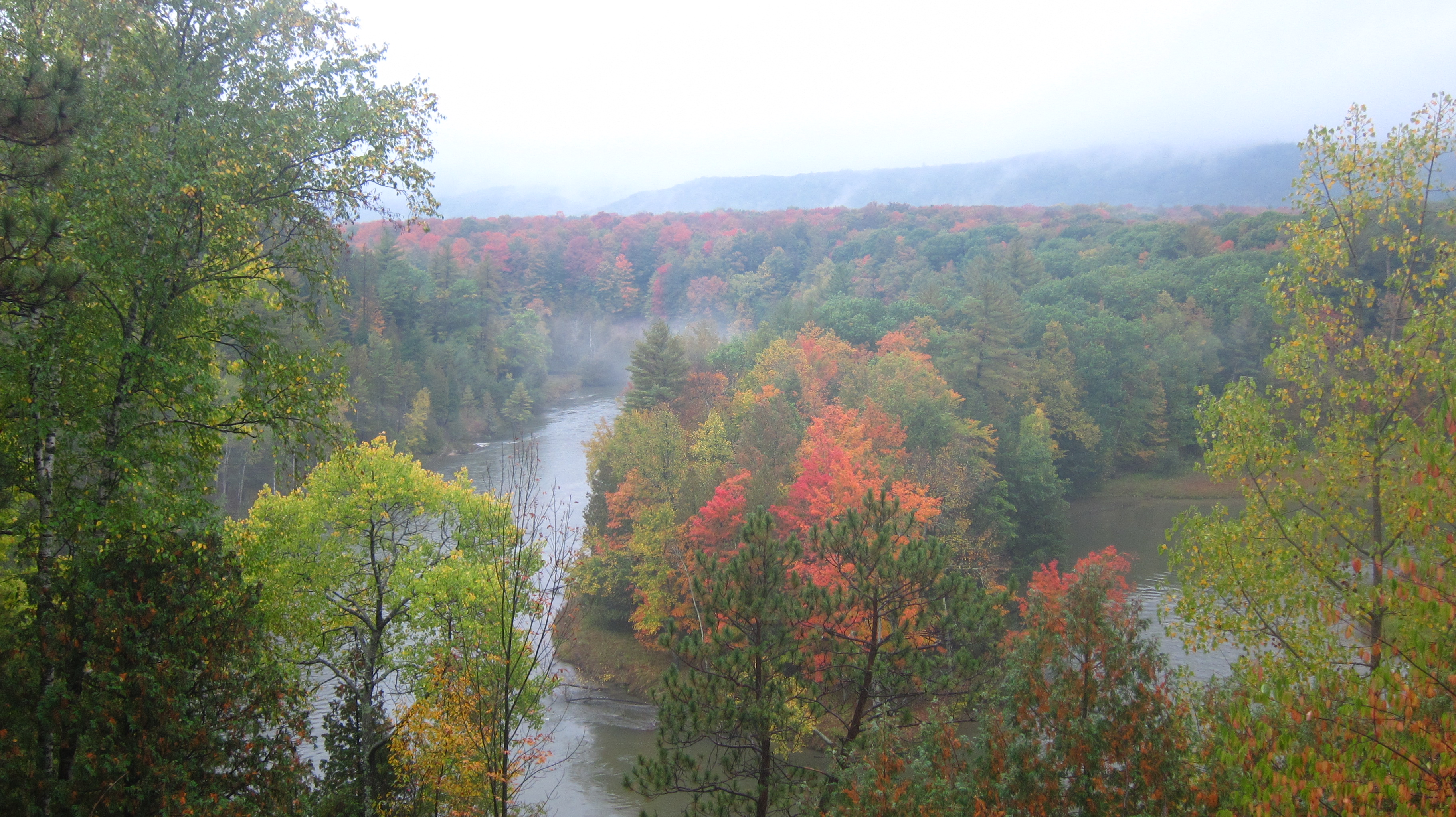 Manistee River Trail MI 1