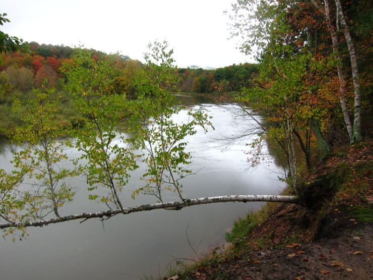 Manistee River Trail 3