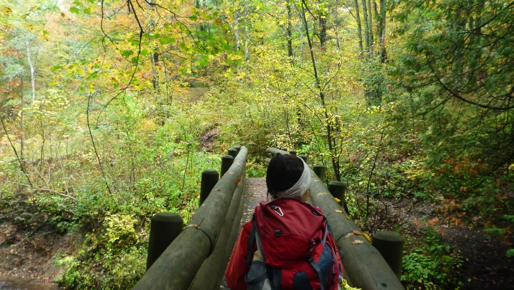 Manistee River Trail 5