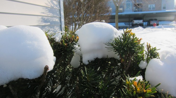 Have a great day, folks!