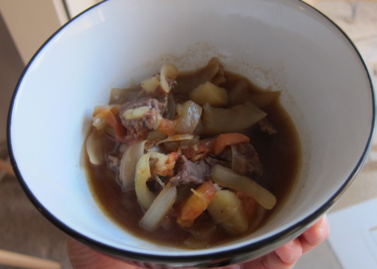 Beef and Onion Soup